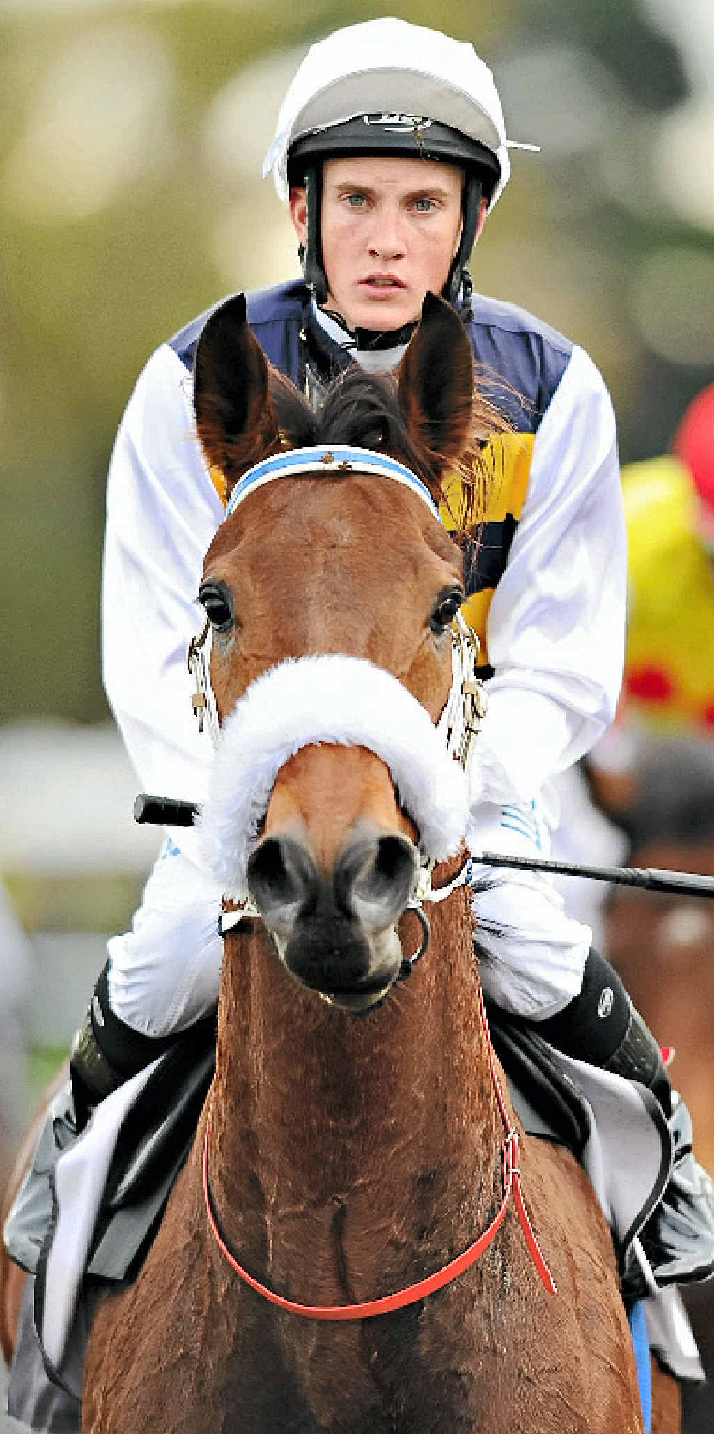 NO SURGERY REQUIRED: Chad Schofield riding Brambles at Flemington Racecourse last month. NO SURGERY REQUIRED: Chad Schofield riding Brambles at Flemington Racecourse last month.